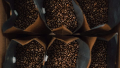 What Are Arabica Coffee Beans?