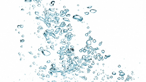 Swiss Water Process Wholesale Coffee Beans
