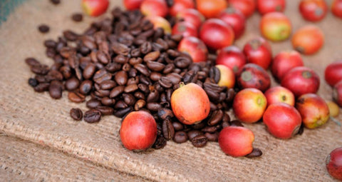 Rainforest Alliance Certified Wholesale Coffee Beans