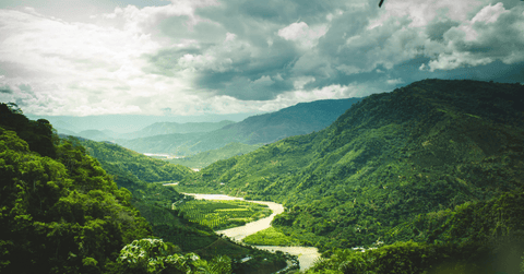 Try Coffee From a New Growing Region This Year
