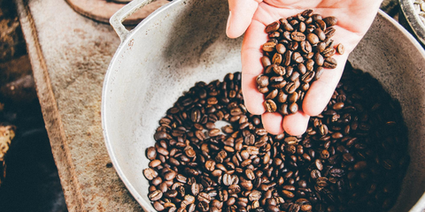 Our Guide to Colombian Coffee