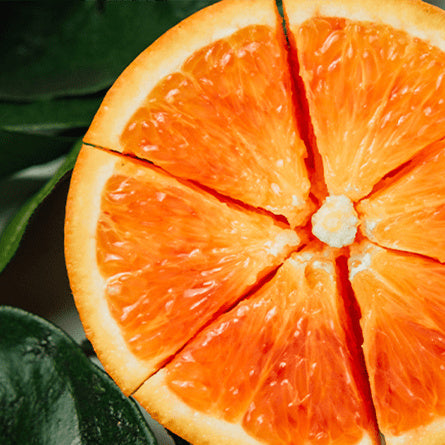 Orange Seville Flavored Coffee