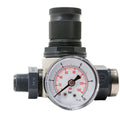 BWT812489  Water Pressure Regulator