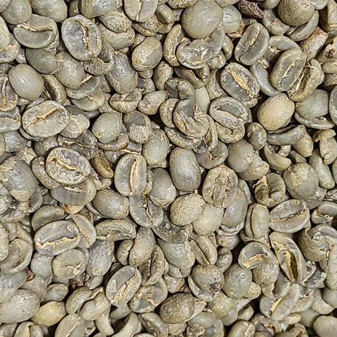 Organic Fair Trade Guatemalan Antigua Green Coffee Beans (Not Roasted)