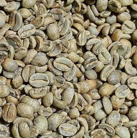 Organic Mexican Green Coffee Beans (Not Roasted)