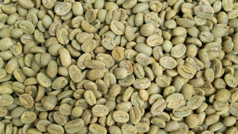 A Look Into Ethiopian Green Coffee Beans