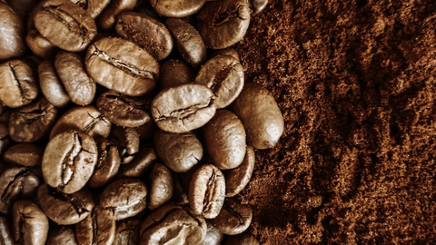 Understanding Gourmet Coffee Varieties and Distinctive Characteristics