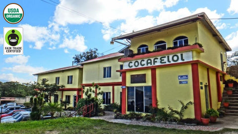 Sustainable Sips: Discover Fair Trade Organic Honduras Cocafelol at Kaldi.com