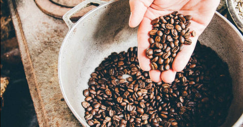 African Gourmet Wholesale Coffee Beans