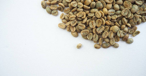 A Guide to Evaluating Green (Raw) Coffee Beans