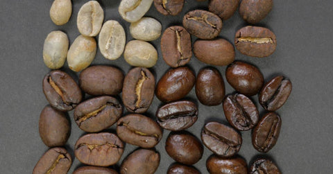Roasting Profile — Light Versus Dark