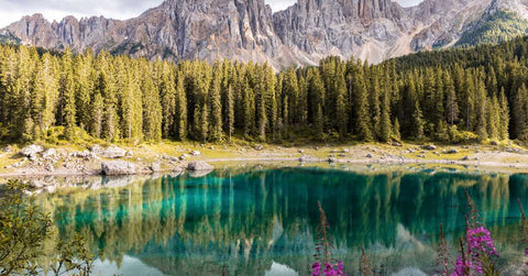 5 Ways Consumers Can Protect the Environment