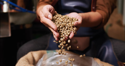 Is CBD Infused Coffee Safe to Drink?