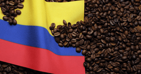 January 2022 Market Report: Coffee Prices Stable Above 200¢