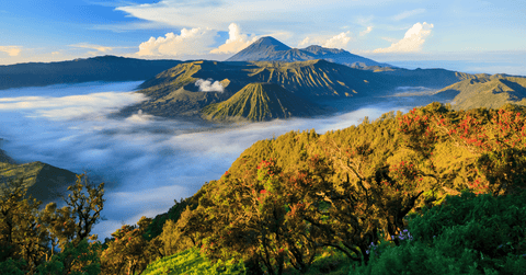 Exploring the Richness of Indonesia and its Coffee Industry