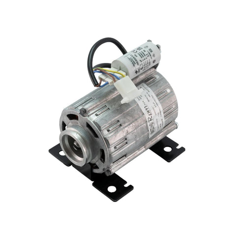 Pump Motor 230 V / 50 Hz - 120 W (00045393)