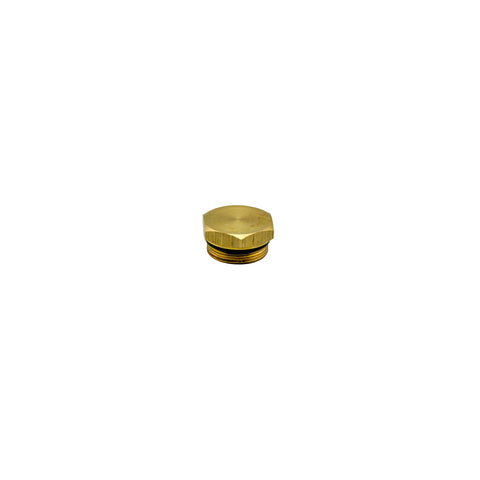 Brass Closing Screw (00060160)