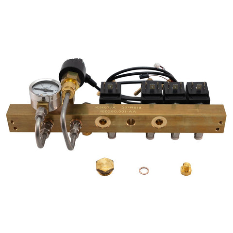 Rancilio 00100825.001 Steam Valve Block Assay.