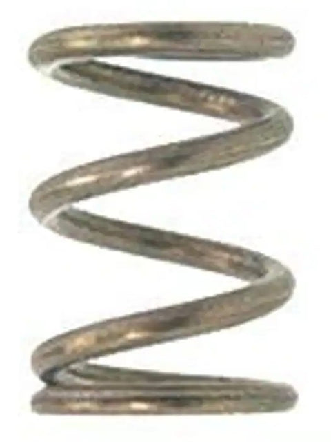Stainless steel spring for water/steam t