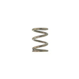 Astoria (10465001) Stainless Steel Spring For Water/Steam T | Fits AB200 & More