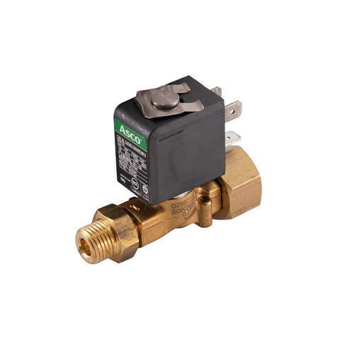 Electrovalve Hot Water 110V (10701597)