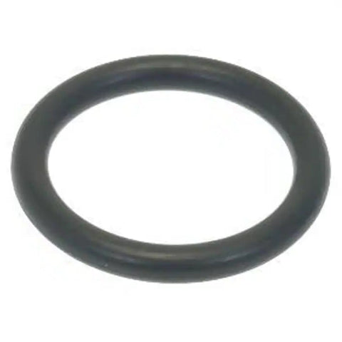 Gasket Orm 0250-40 Hnbr 70sh (12336001)