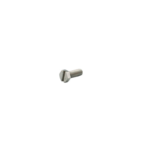 Rancilio 0.62 Shower Screw