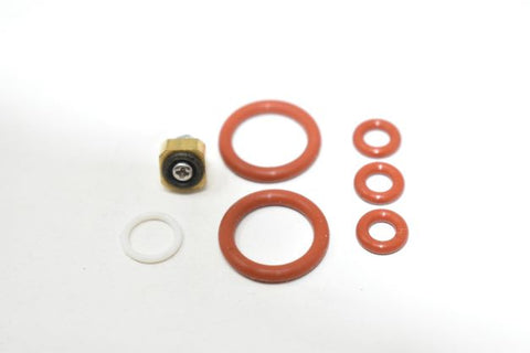Crossland 10400609 Steam Valve Rebuild Kit (V2-Seal And 2 Shaft O-Rings) | Fits CC1