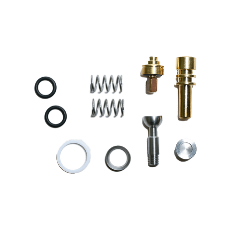 Steam Valve Rebuild Kit, GS3 (B.1.004.K)