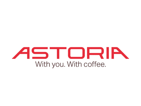 24V Coffee Group Motor Mod. 2015 600 S