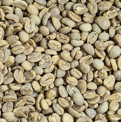 Celebes Sulawesi Kalossi Green Coffee Beans (Not Roasted)