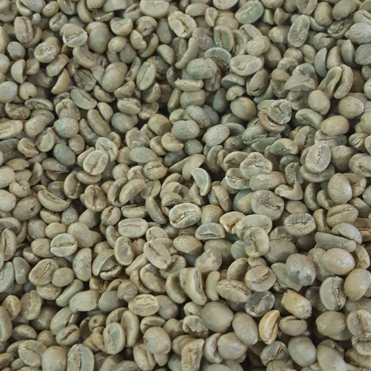 Java Jampit Green Coffee Beans (Not Roasted) | Wholesale | Bulk – Kaldi.com
