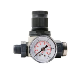 BWT812489  Water Pressure Regulator