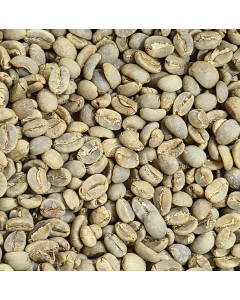 Celebes Sulawesi Kalossi Green Coffee Beans (Not Roasted)