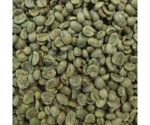 Costa Rican Green Coffee Beans (Not Roasted)
