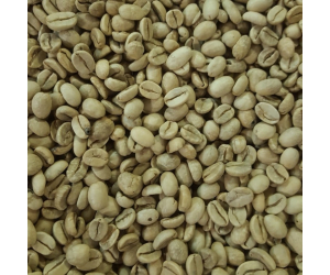 Indian Monsoon Malabar Green Coffee Beans (Not Roasted)