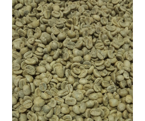 Nicaraguan Green Coffee Beans (Not Roasted)