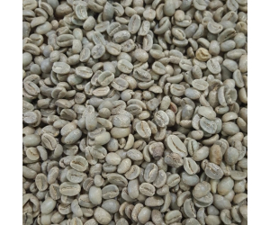 Organic Fair Trade Peru Green Coffee Beans (Not Roasted)