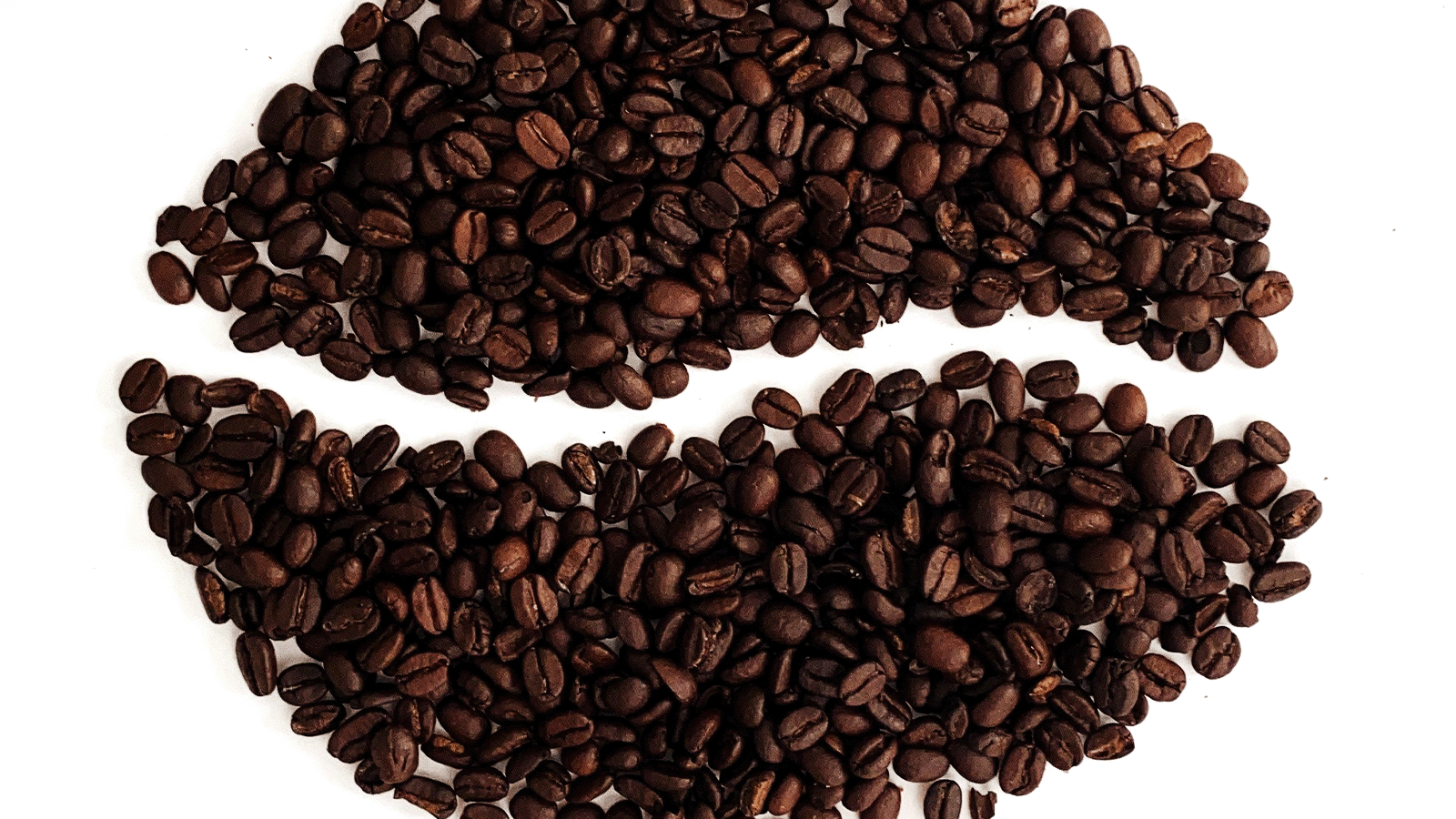 What is the Difference Between Arabica and Robusta Coffee Beans?