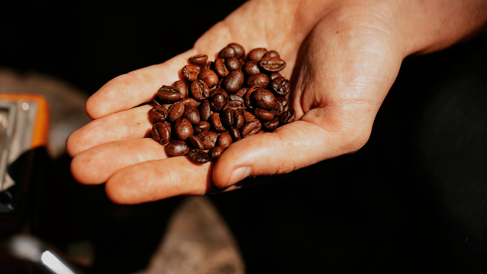 How do I choose a coffee bean supplier?